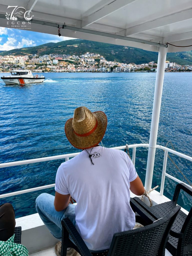 Gemlik Körfezi'nde tekneden deniz manzarası